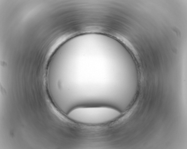 X0000091340941200708101017
