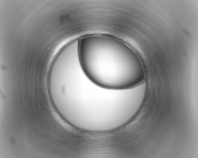 X0000091340942200708101017