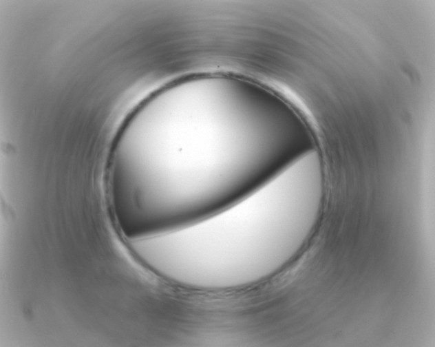 X0000091340943200708101017