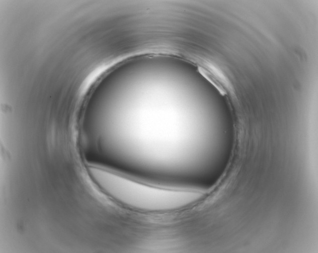 X0000091340944200708101017