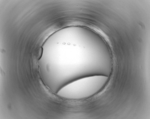 X0000091340945200708101017