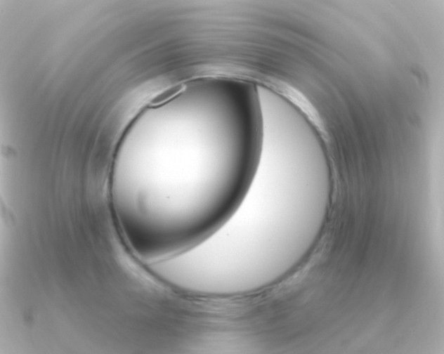 X0000091340946200708101017