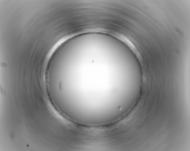 X0000091340947200708101017
