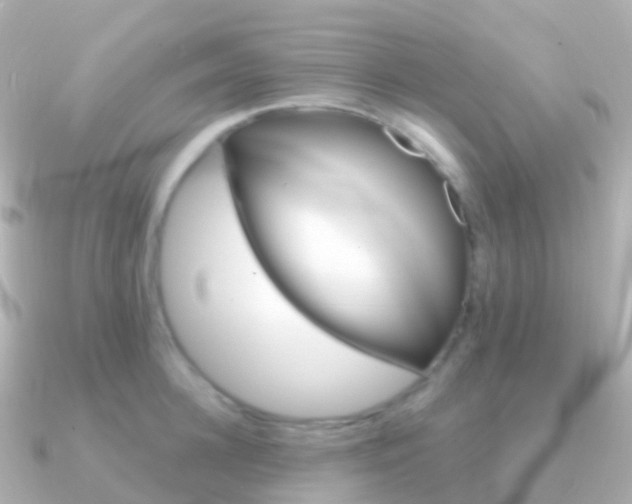 X0000091340948200708101017