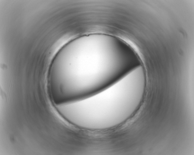 X0000091340949200708101017