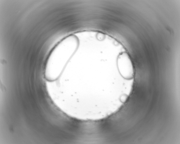 X0000091340950200708101017