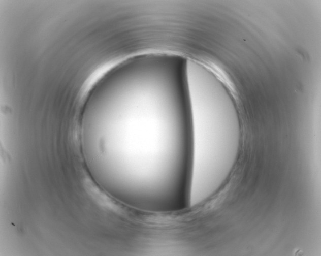 X0000091340952200708101017