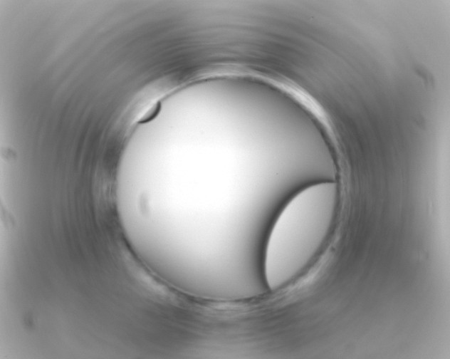 X0000091340953200708101017