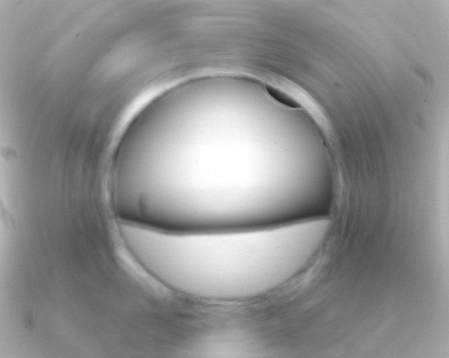 X0000091340958200708101017