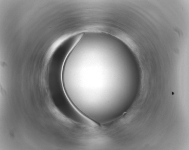 X0000091340960200708101017