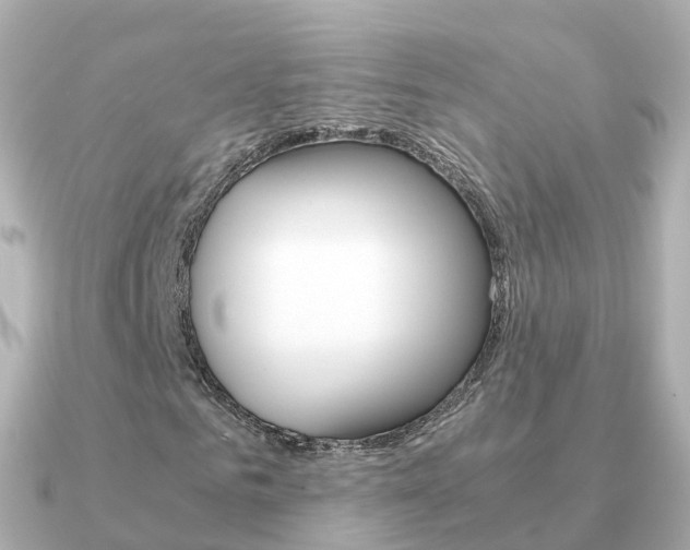 X0000091340961200708101016