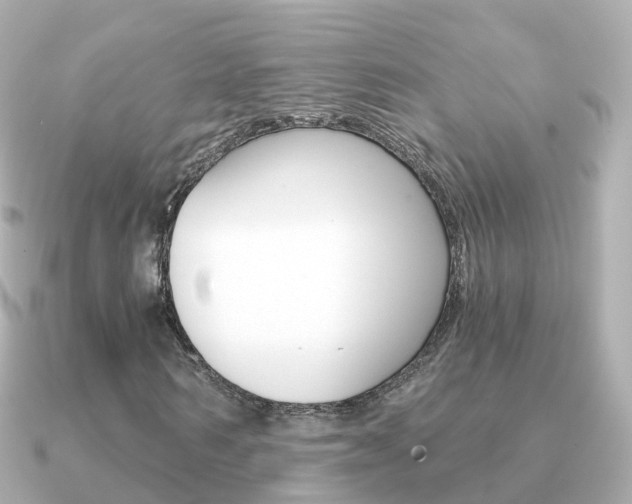 X0000091340962200708101016