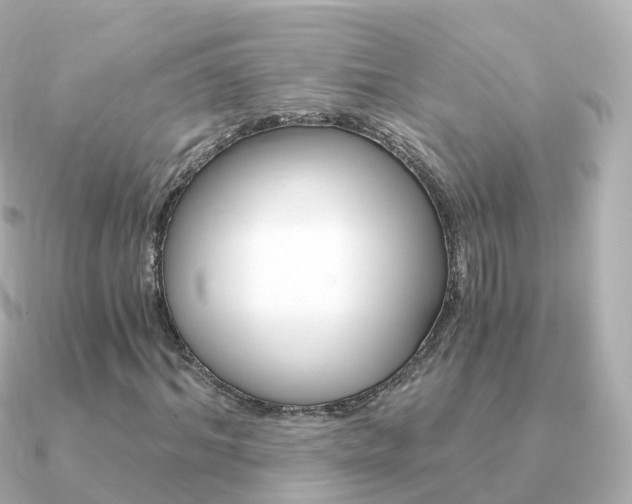 X0000091340964200708101016