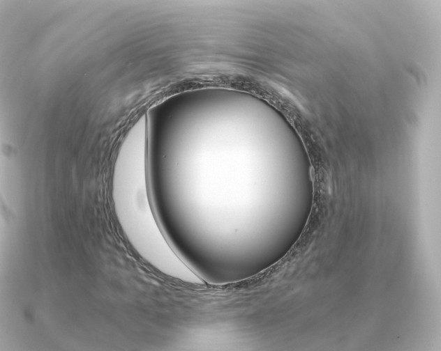 X0000091340965200708101016