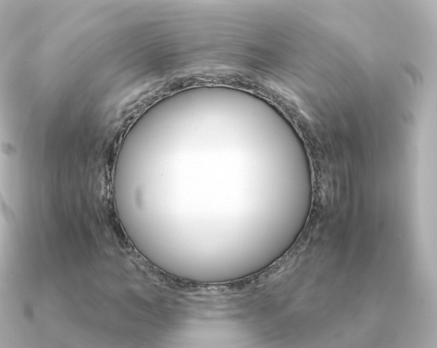 X0000091340966200708101016