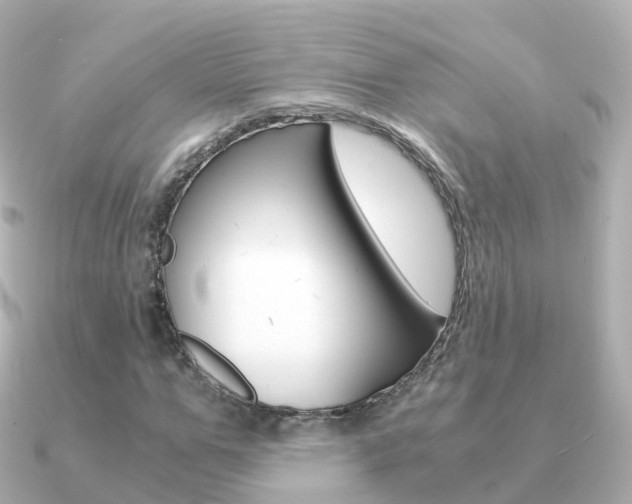 X0000091340967200708101016