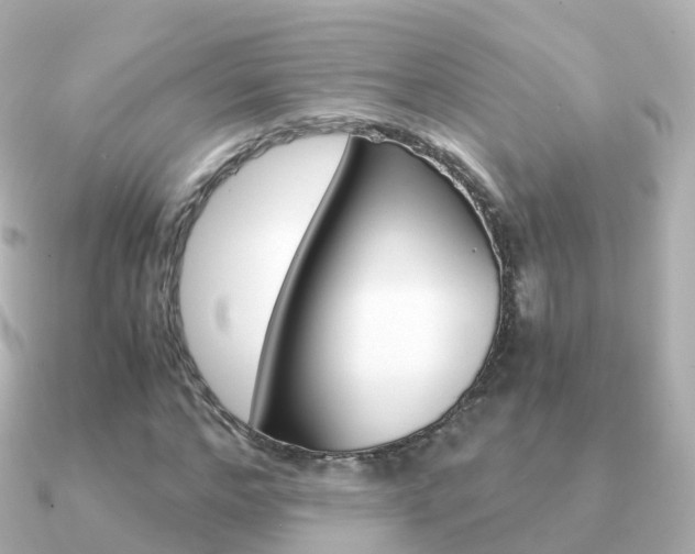 X0000091340968200708101016