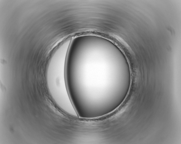 X0000091340969200708101016