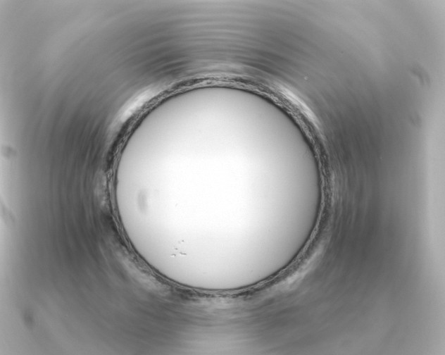 X0000091340970200708101016
