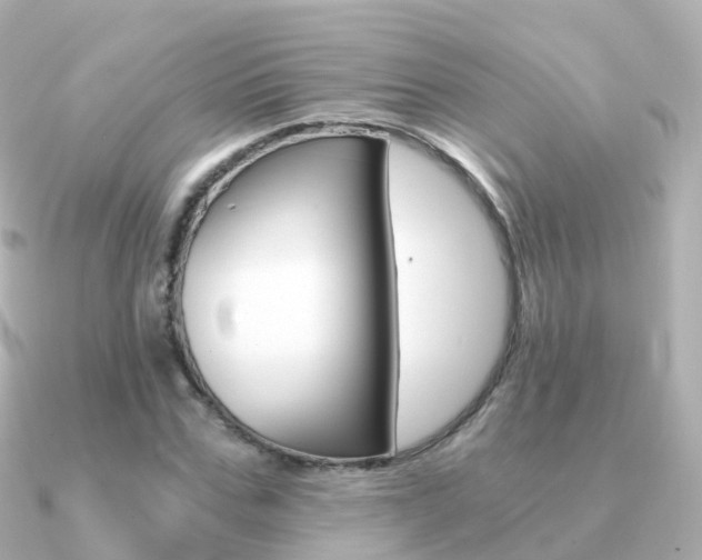 X0000091340971200708101016