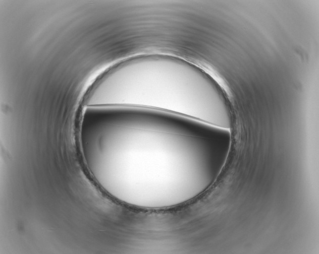 X0000091340972200708101016