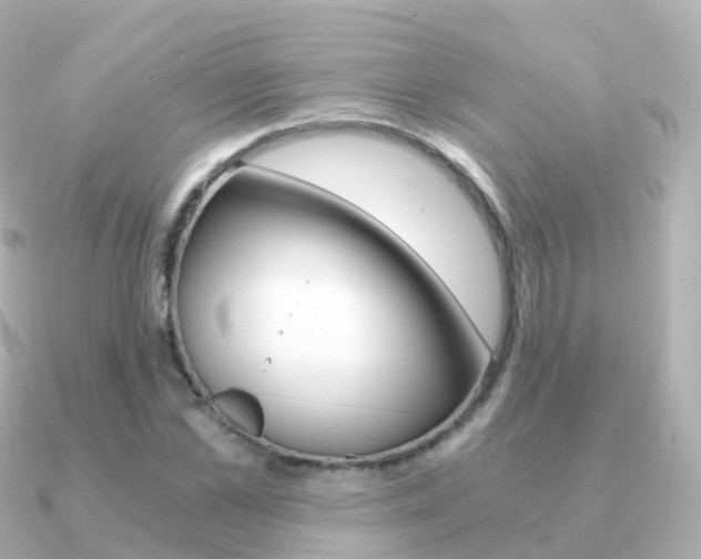 X0000091340973200708101016