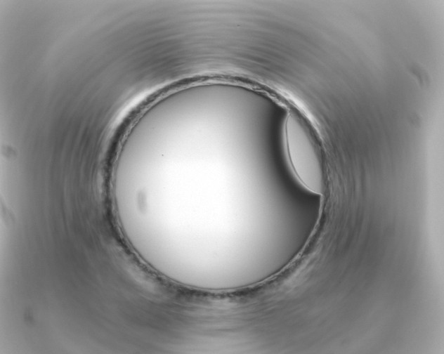 X0000091340975200708101016