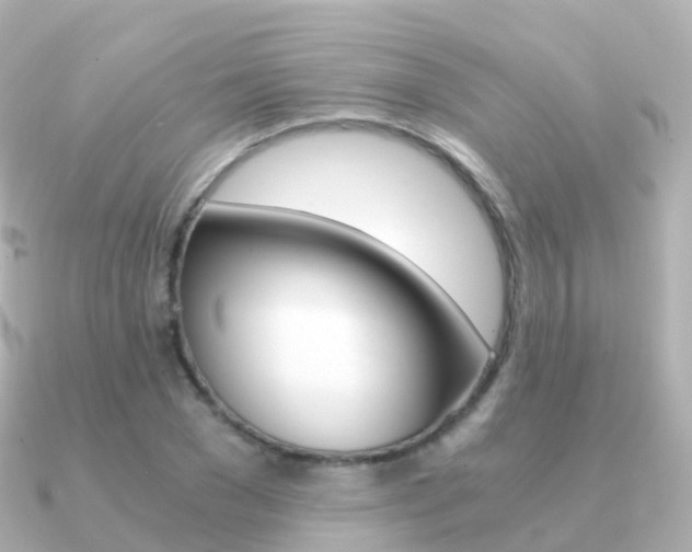 X0000091340977200708101016