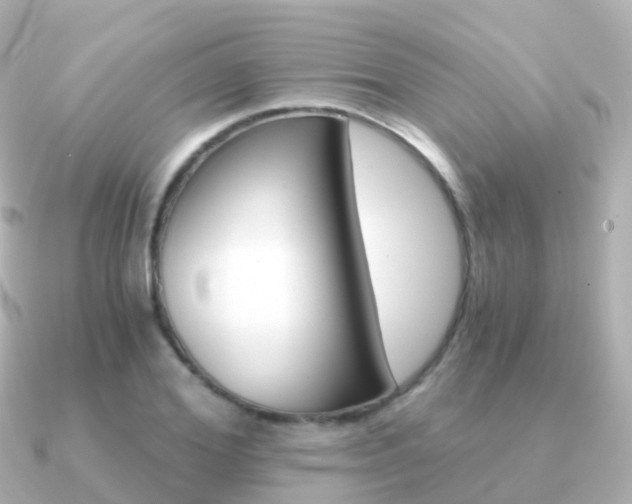 X0000091340980200708101016