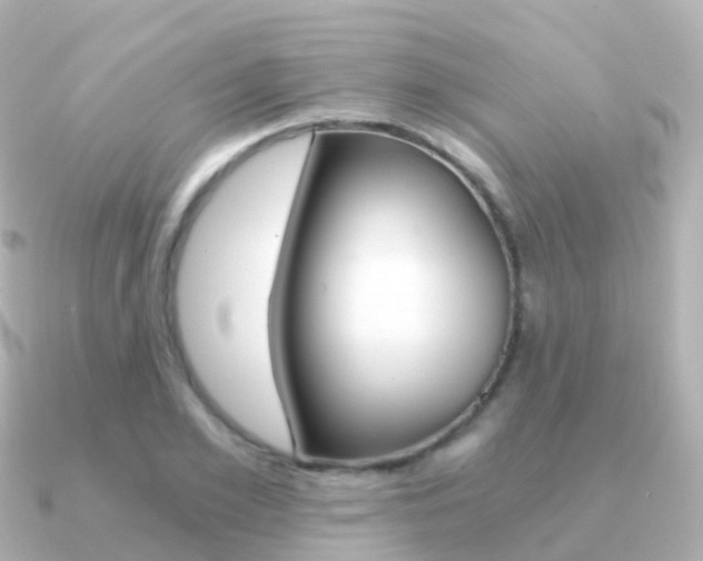 X0000091340981200708101016