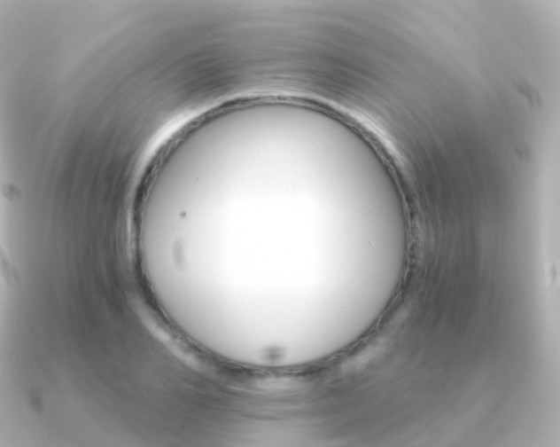 X0000091340982200708101016