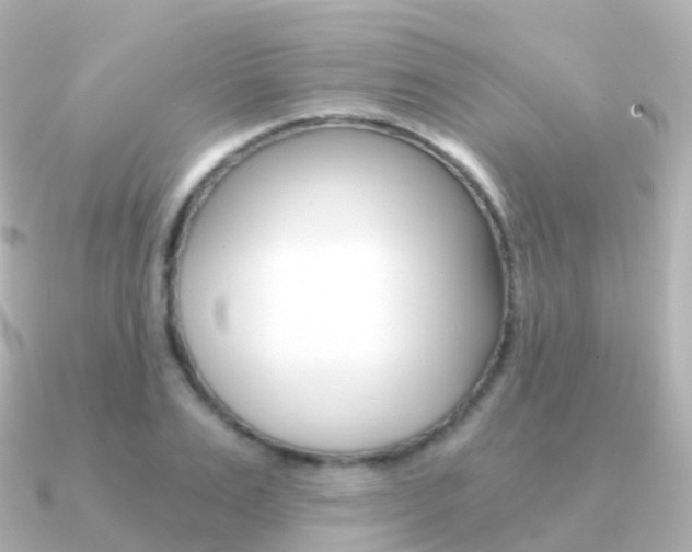 X0000091340983200708101016
