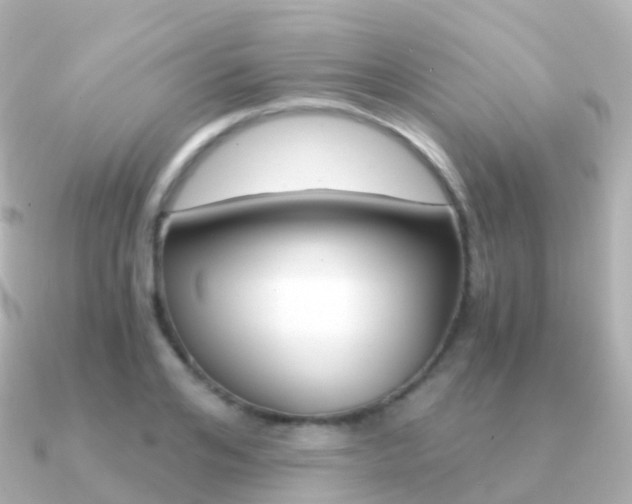 X0000091340984200708101016