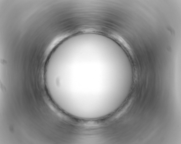 X0000091340986200708101016