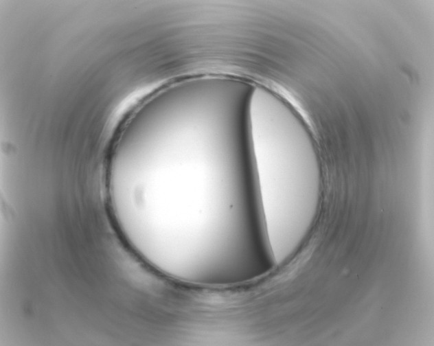X0000091340987200708101016