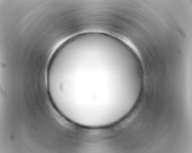 X0000091340988200708101016