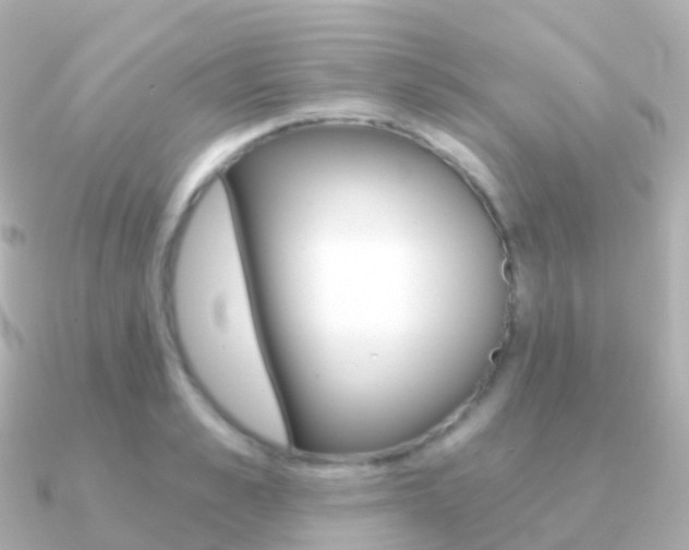 X0000091340989200708101016