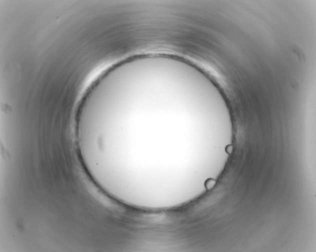X0000091340990200708101016