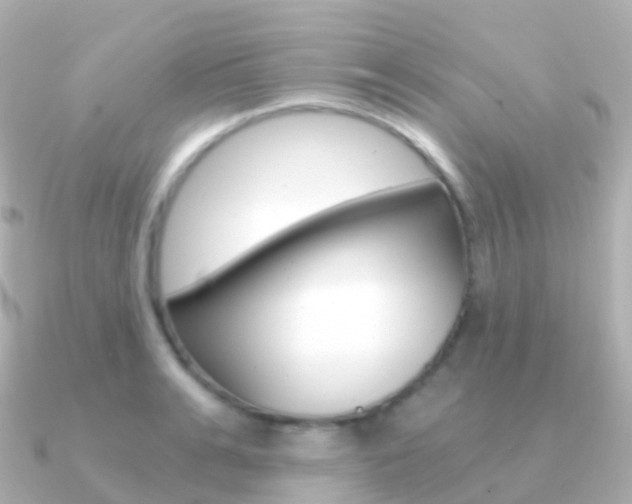 X0000091340991200708101016