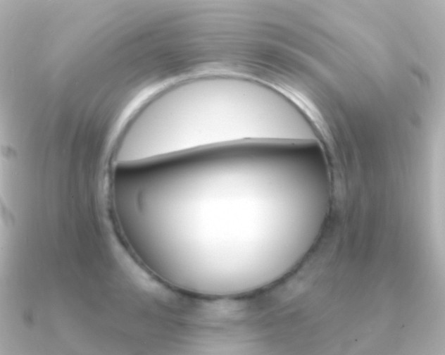 X0000091340992200708101016