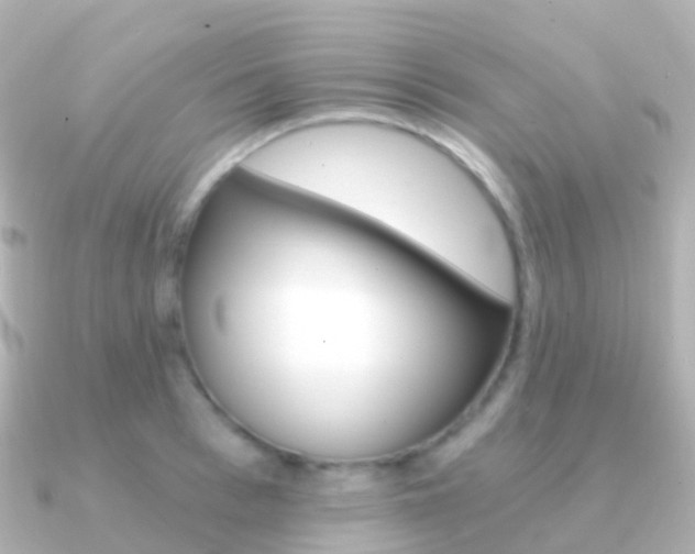 X0000091340993200708101016