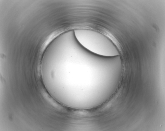 X0000091340994200708101016