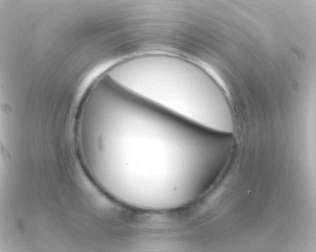 X0000091340995200708101016