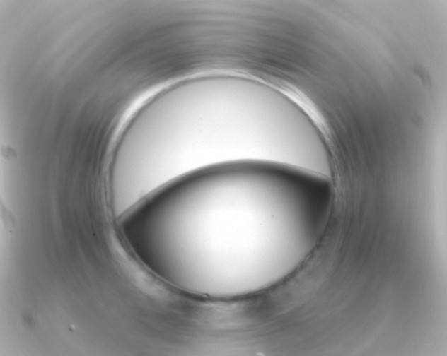 X0000091340996200708101016