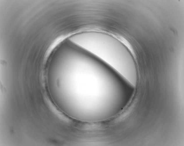 X0000091340997200708101016