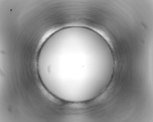 X0000091340998200708101016