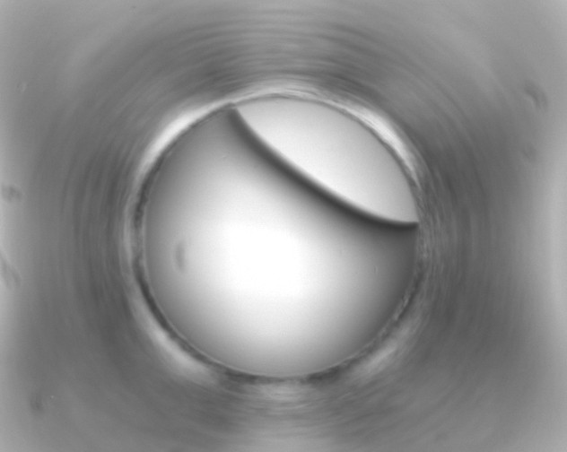 X0000091340999200708101016