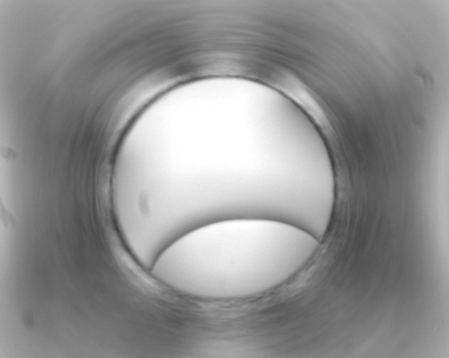 X0000091341000200708101016
