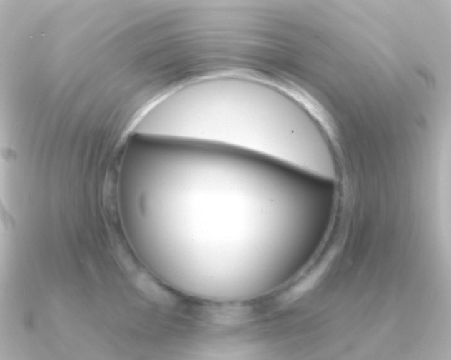 X0000091341001200708101016