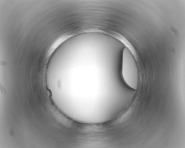X0000091341002200708101016